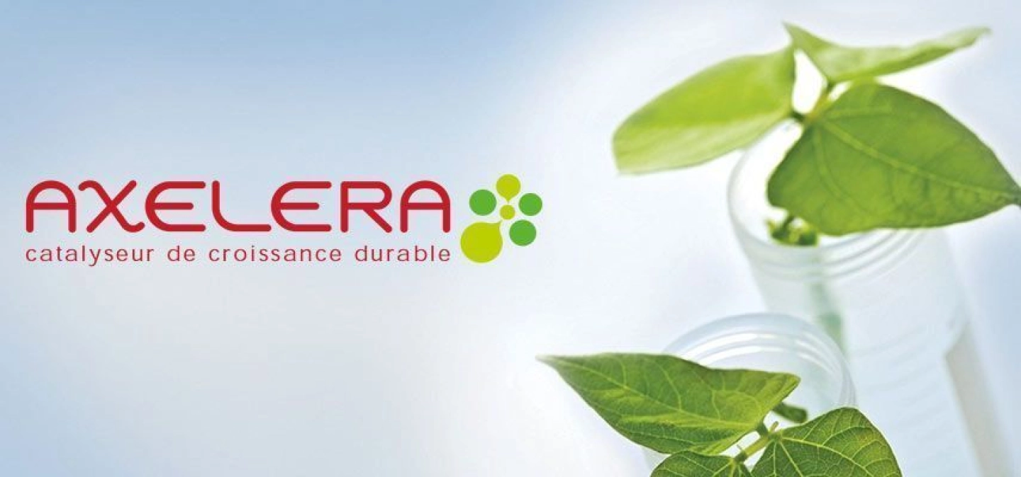 Logo et illustration d'Axelera