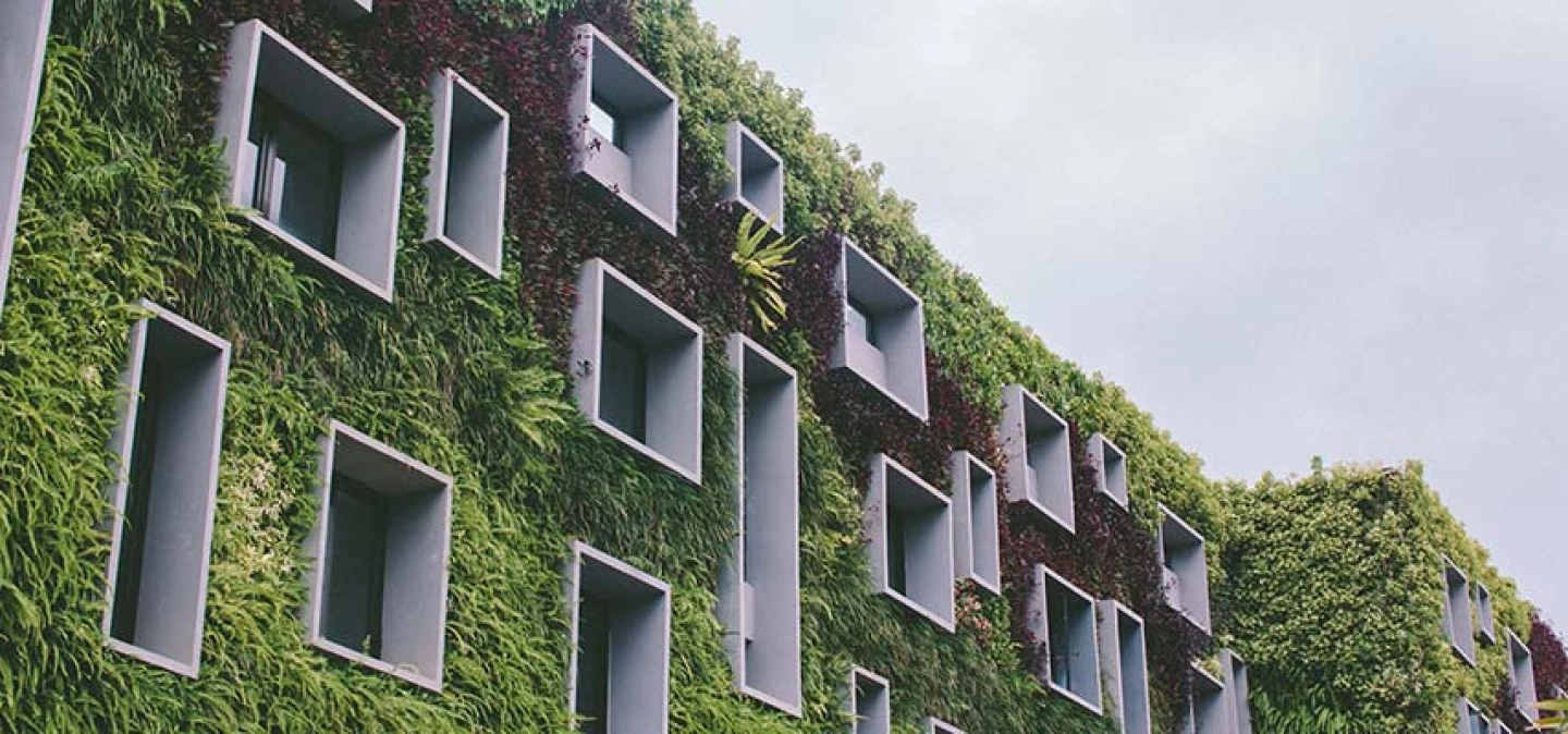 Bâtiment de bureaux végétalisés  