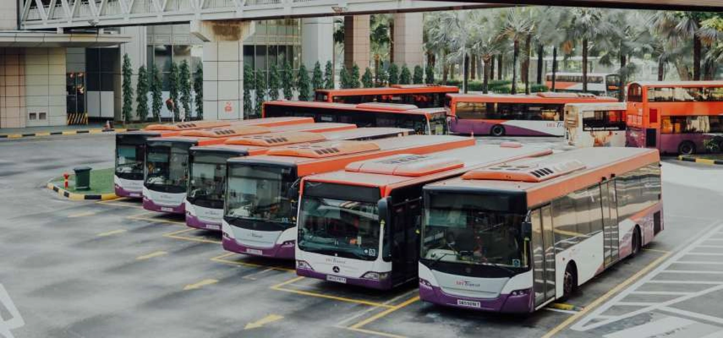 Des bus sont garés sur un parking