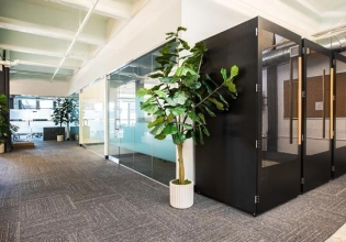 Des bureaux lumineux à Lyon